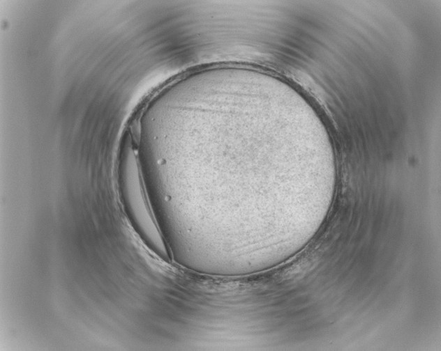 X0000088161072200706051045