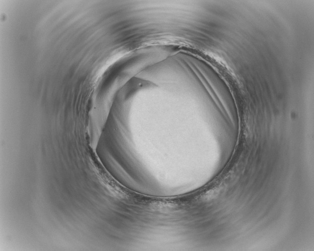 X0000088161073200706051045