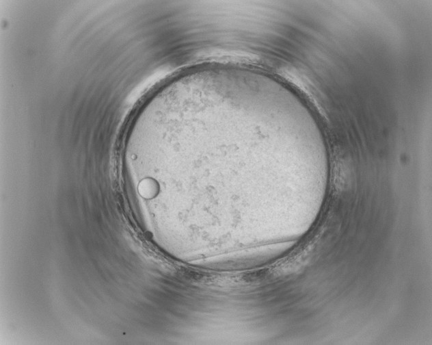 X0000088161074200706051045