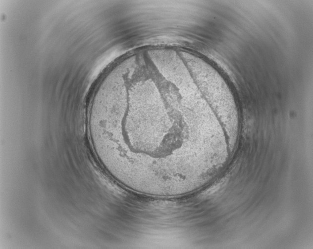 X0000088161075200706051045