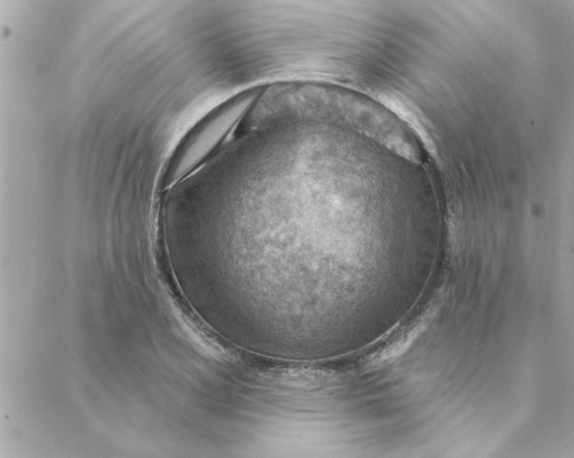 X0000088161077200706051045