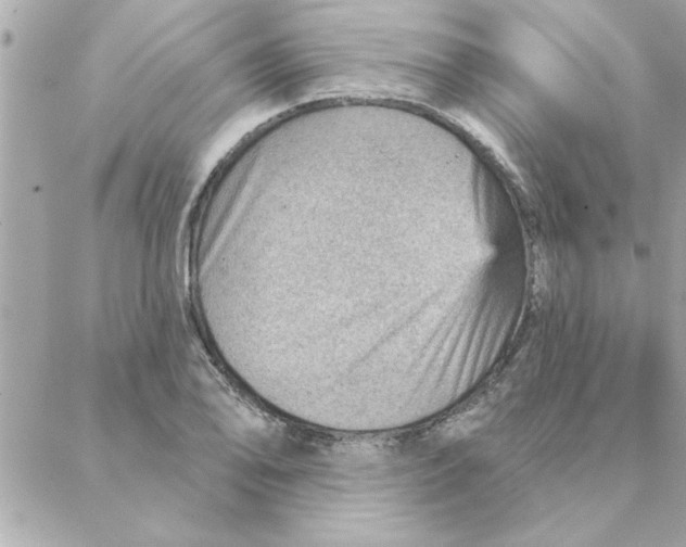 X0000088161078200706051045