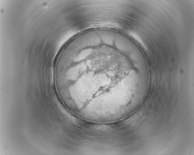 X0000088161079200706051045