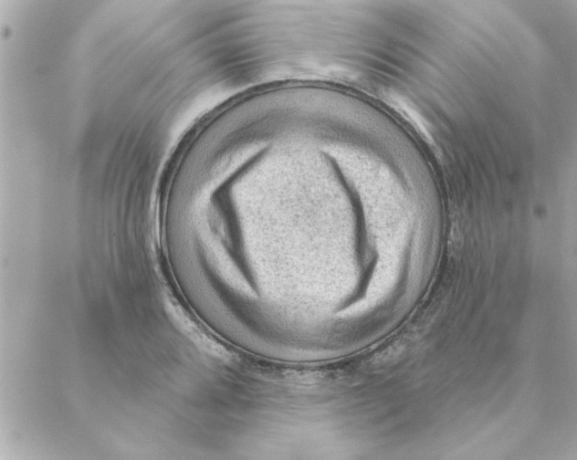 X0000088161080200706051045