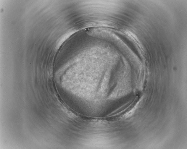 X0000088161081200706051045