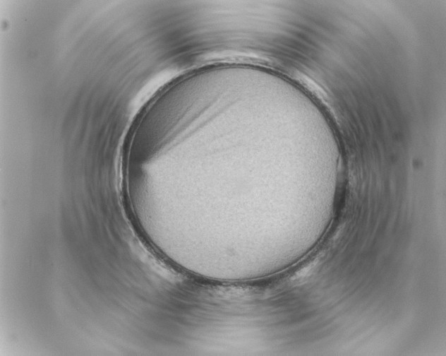 X0000088161082200706051045