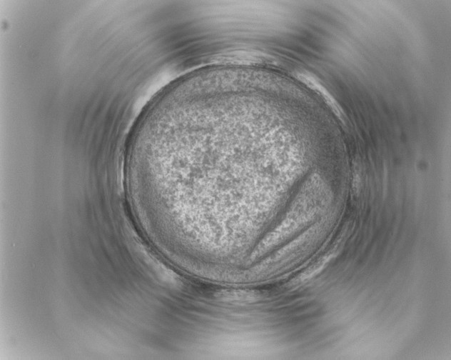 X0000088161083200706051045