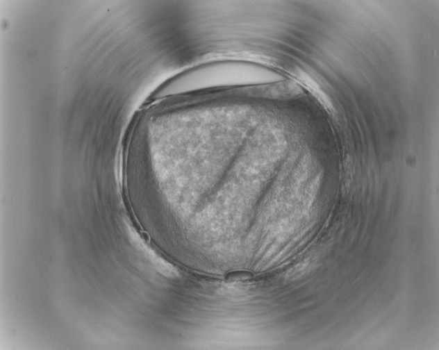 X0000088161084200706051045