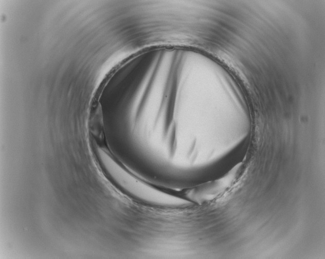 X0000088161085200706051045