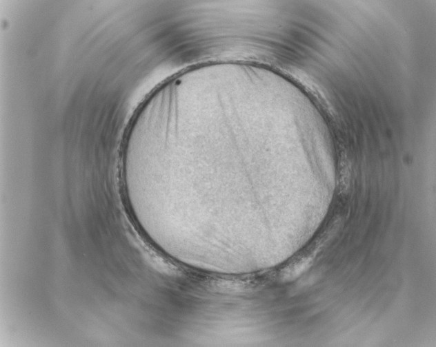 X0000088161086200706051045