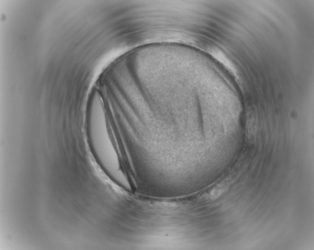 X0000088161088200706051045