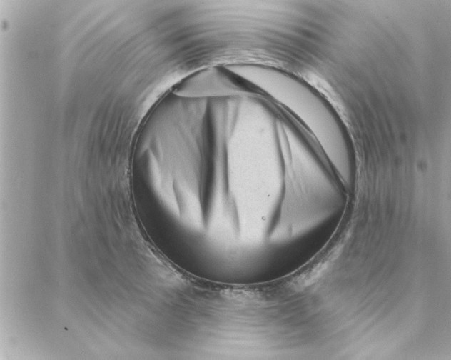 X0000088161089200706051045