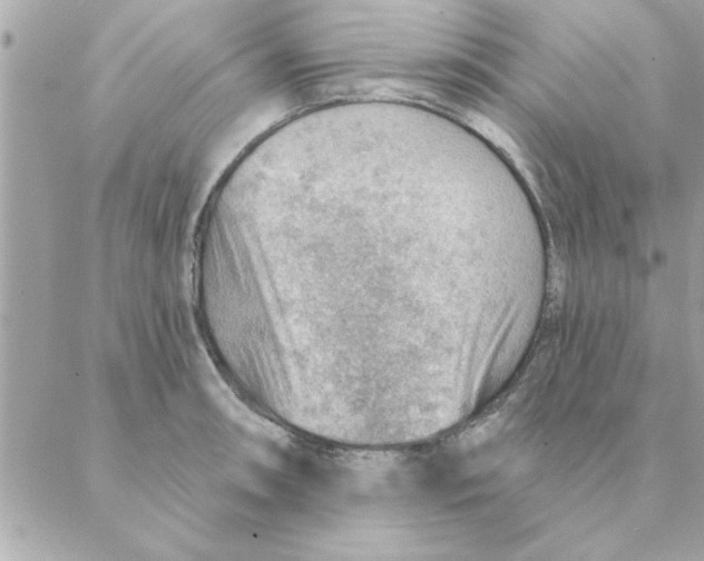 X0000088161090200706051045