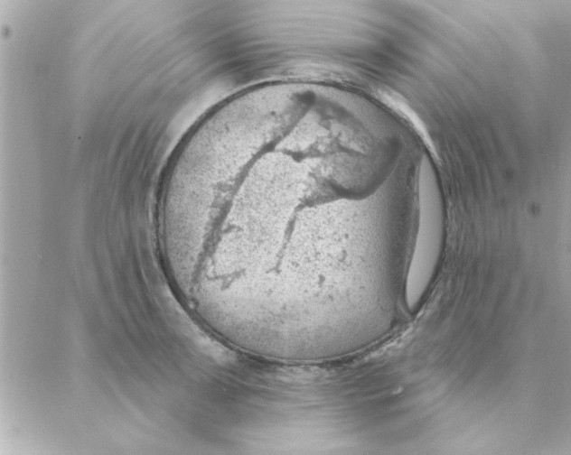 X0000088161091200706051045