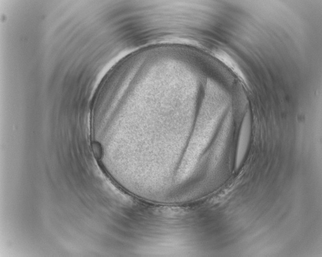 X0000088161092200706051045