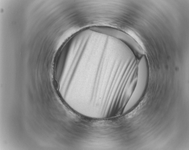 X0000088161093200706051045