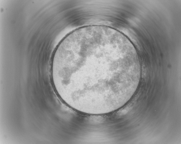 X0000088161094200706051045