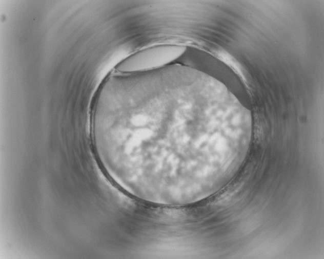 X0000088161095200706051045