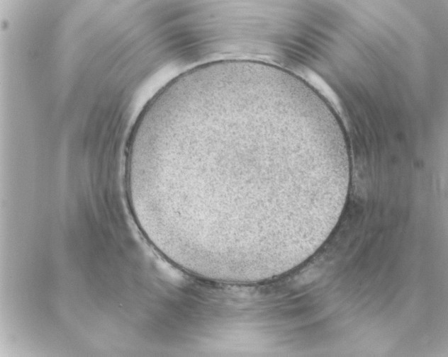 X0000088161096200706051045