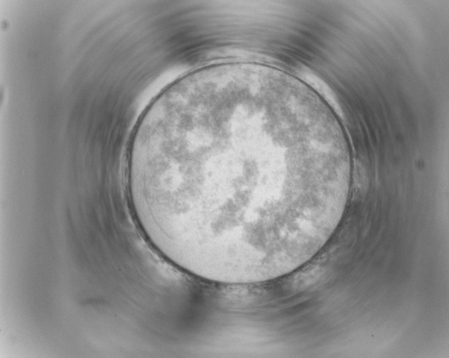 X0000088161098200706051045