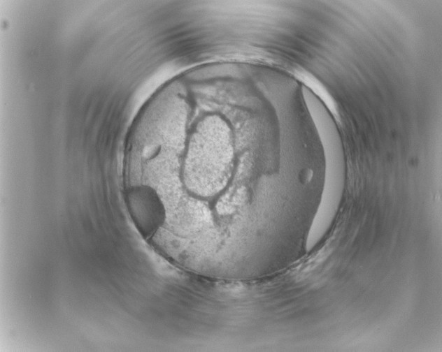 X0000088161099200706051045