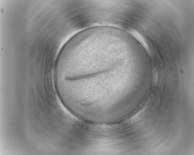 X0000088161100200706051045