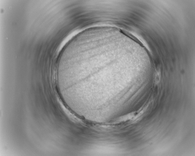 X0000088161101200706051045