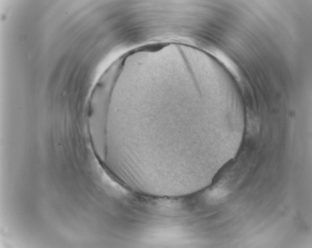 X0000088161102200706051045