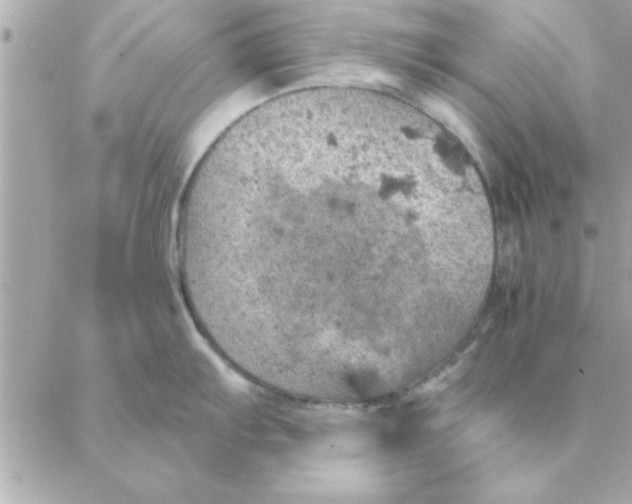 X0000088161103200706051045