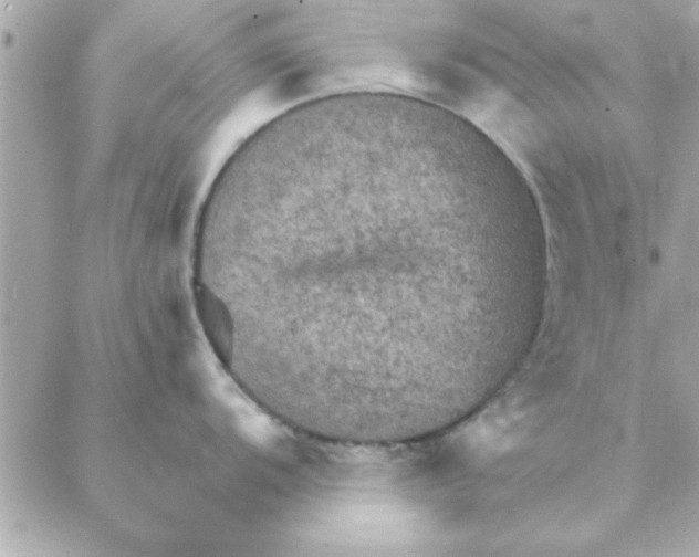 X0000088161104200706051045