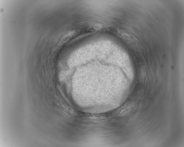 X0000088161105200706051044