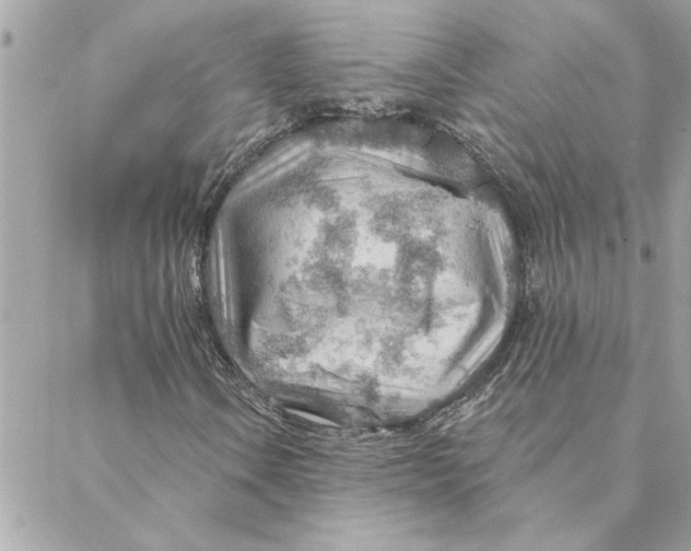 X0000088161106200706051044