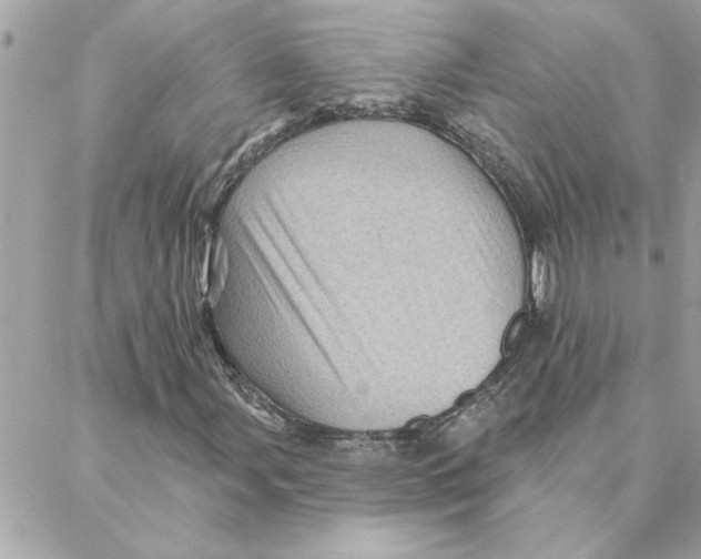 X0000088161107200706051044