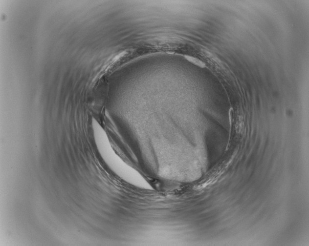 X0000088161108200706051044