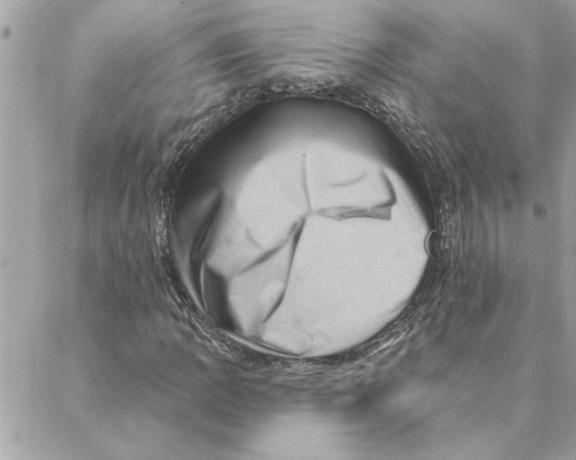 X0000088161109200706051044