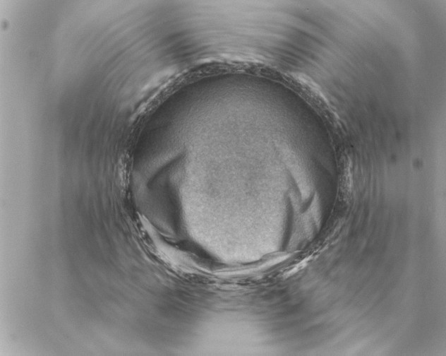 X0000088161110200706051044