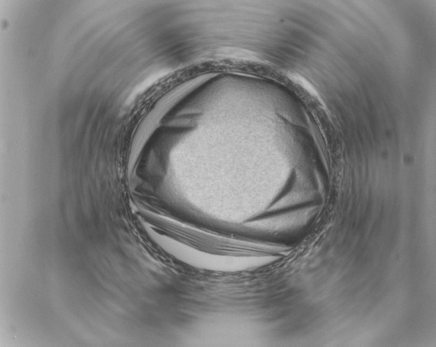 X0000088161112200706051044