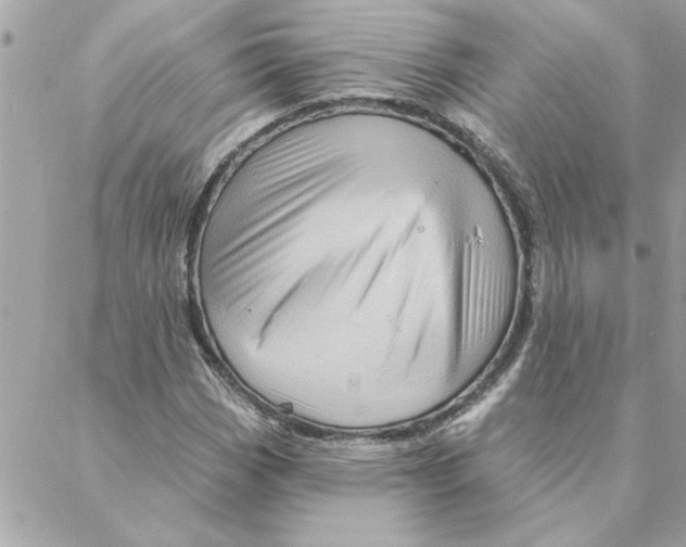 X0000088161113200706051044