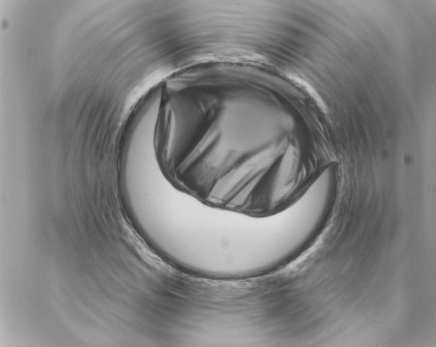 X0000088161114200706051044