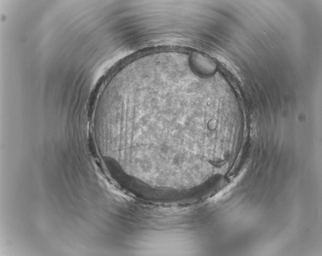 X0000088161117200706051044