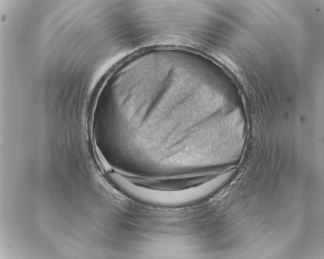 X0000088161120200706051044