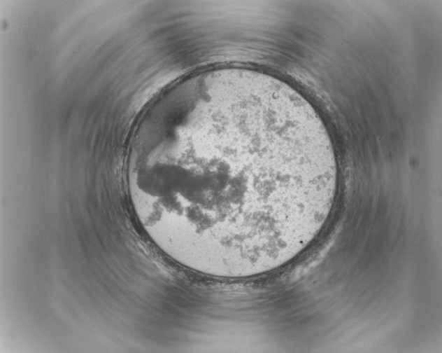 X0000088161121200706051044