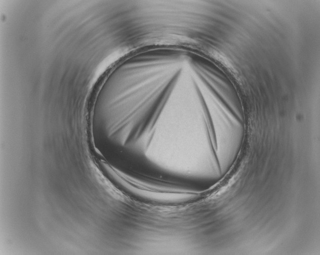 X0000088161122200706051044