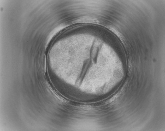 X0000088161123200706051044