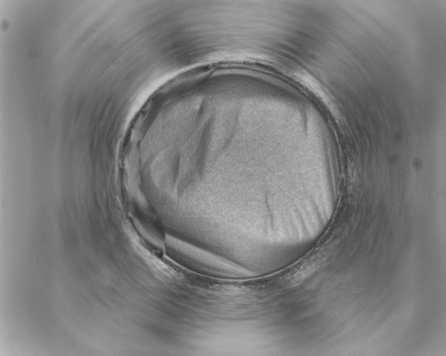 X0000088161124200706051044