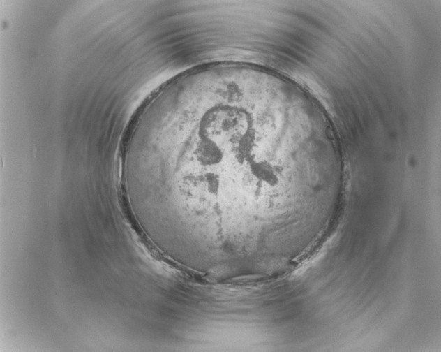 X0000088161125200706051044