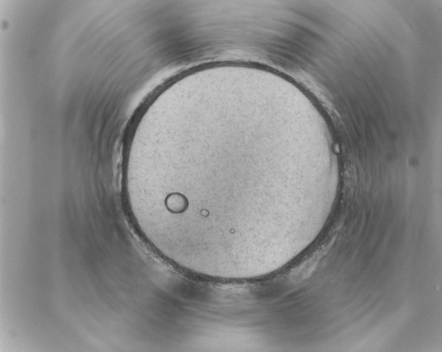 X0000088161126200706051044