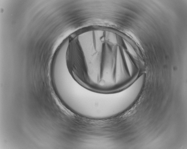 X0000088161128200706051044