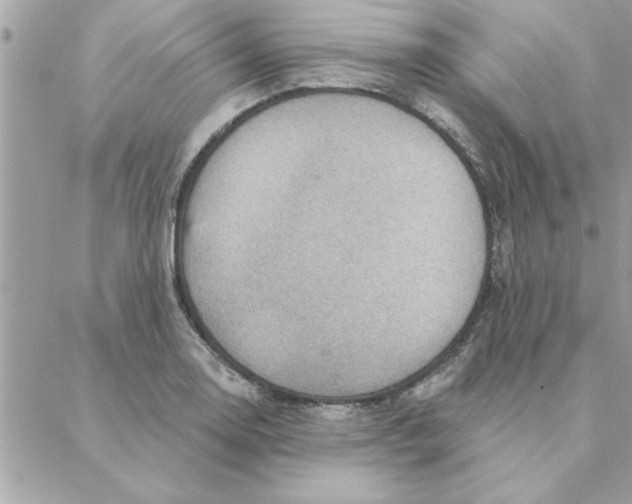 X0000088161130200706051044