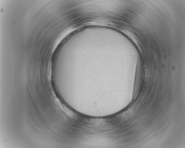 X0000088161131200706051045